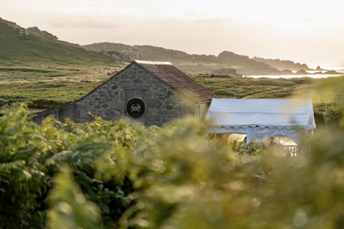 A rustic stone building sits amidst lush greenery, partially obscured by ferns in the foreground. The background features rolling hills and a misty coastline under a soft, cloudy sky.